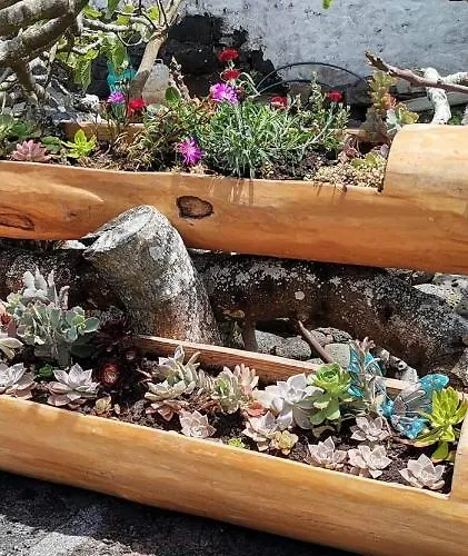 Σπίτι διακοπών Casinha De Pedra Cais do Pico